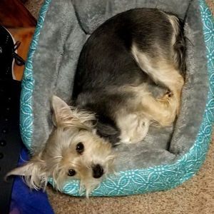 Meet your Posher, Coda